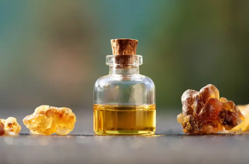 Health Benefits of Frankincense Essential Oil Health Benefits of Frankincense Essential Oil