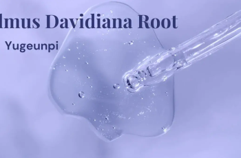 Ulmus Davidiana Root Extract in Skin Care Products