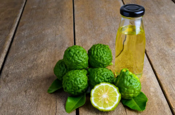 Everything You Need to Know About Bergamot Essential Oil