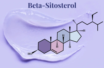Beta-Sitosterol in Skin Care: Benefits, Uses, and More