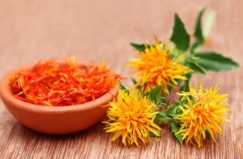 Safflower Oil in Skin Care: Benefits, Uses, and Safety