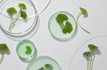 Centella Asiatica: The Natural Skin Care Ingredient for Youthful Glow Centella Asiatica: The Natural Skin Care Ingredient for Youthful Glow