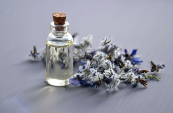 Borage Seed Oil in Skincare: The Ultimate Guide to Its Benefits and How to Use It Borage Seed Oil in Skincare: The Ultimate Guide to Its Benefits and How to Use It