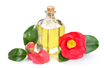 The Power of Camellia Japonica Seed Oil: Benefits, Uses, and Science Explained