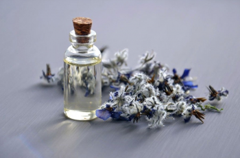 Borage Seed Oil in Skincare: Benefits, Uses, and Best Skin Types Borage Seed Oil in Skincare: Benefits, Uses, and Best Skin Types